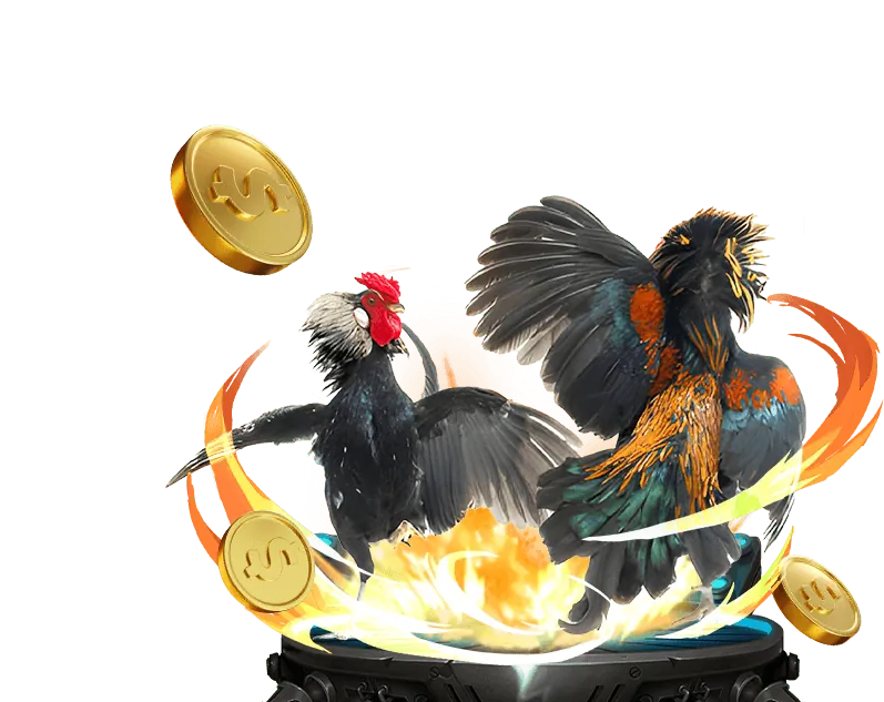 Minh họa các bước đăng ký tài khoản cá cược đá gà