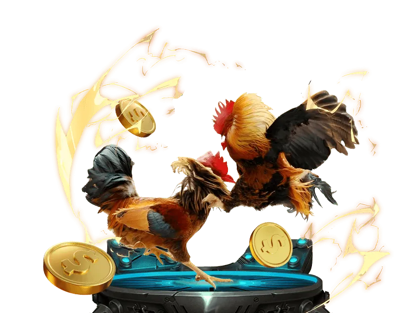 Chuyên gia bình luận đá gà A